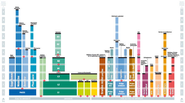 schema