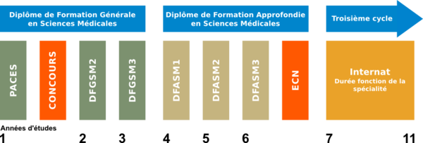 Medicina